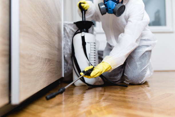 Best Emergency Pest Control  in Newark, NY