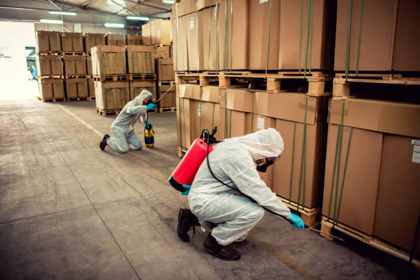 Best Pest Control for Homes  in Newark, NY