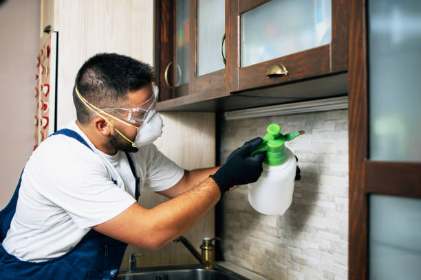 Best Affordable Pest Control Services  in Newark, NY