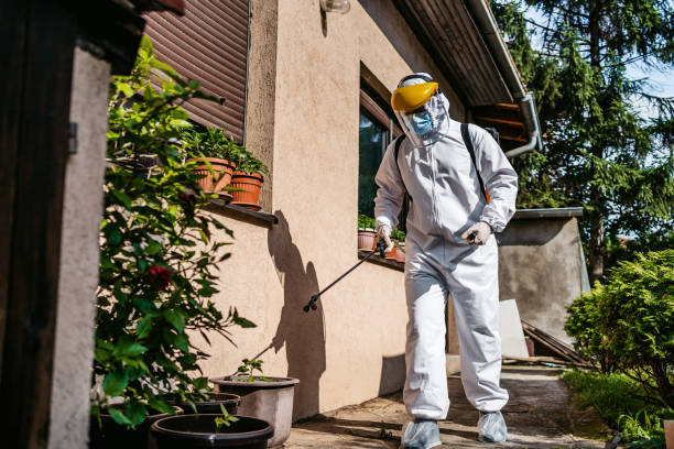 Best Best Pest Control Near Me  in Newark, NY