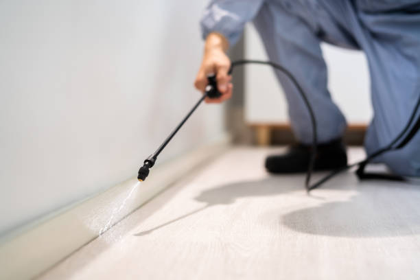 Trusted Newark, NY Pest Control Experts