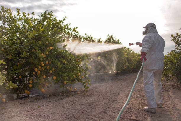 Best Cockroach Control Services  in Newark, NY