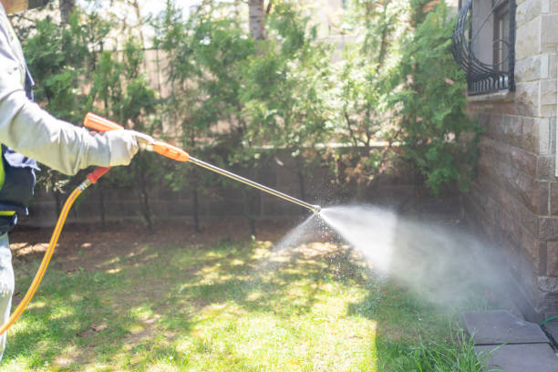 Best Affordable Pest Control Services  in Newark, NY