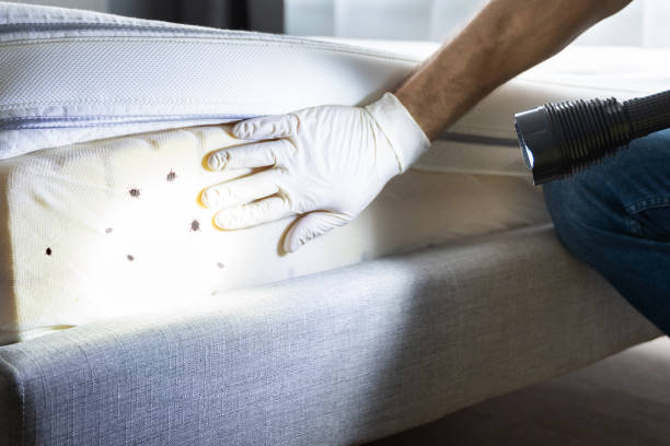 Best Exterminator Services  in Newark, NY