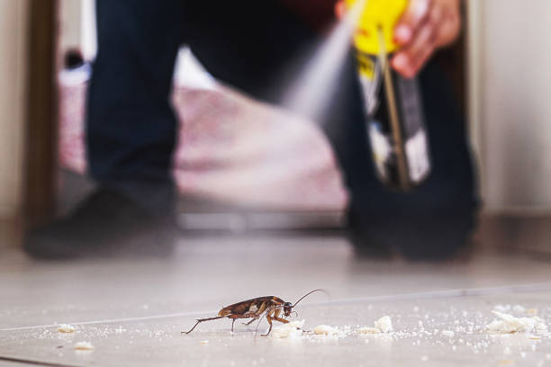 Best Wasp Removal Services  in Newark, NY