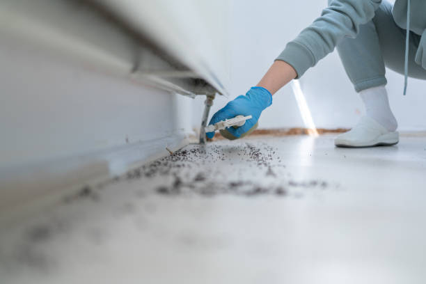 Best Pest Removal Services  in Newark, NY