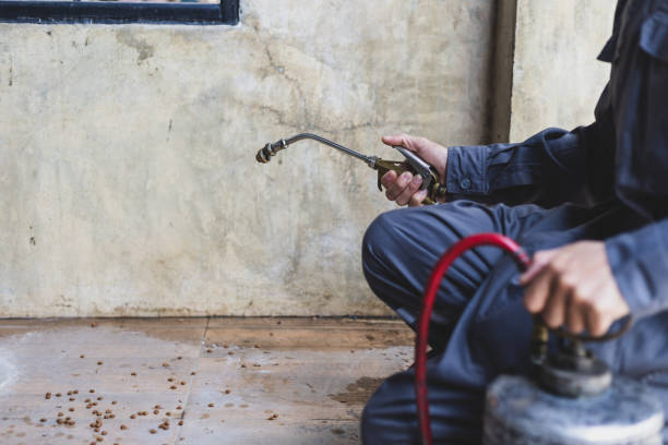 Best Exterminator Services  in Newark, NY